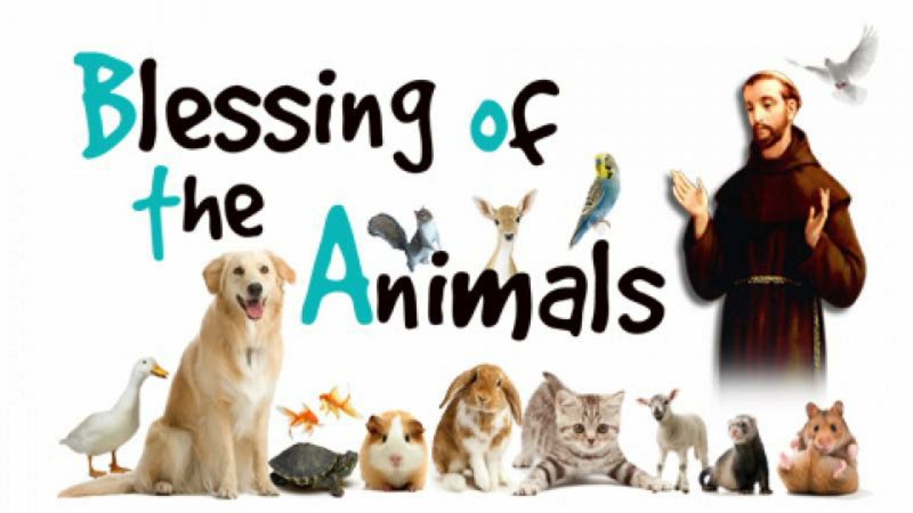 blessing-of-the-animals-st-francis-feast-day